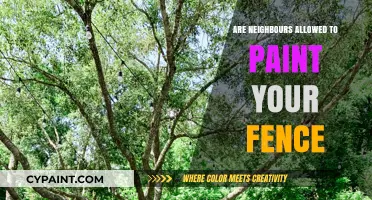 Can Neighbours Paint Your Fence? Legal Boundaries and Property Rights Explained