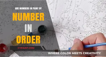 Understanding Paint by Number: Are the Numbers Sequenced Logically?