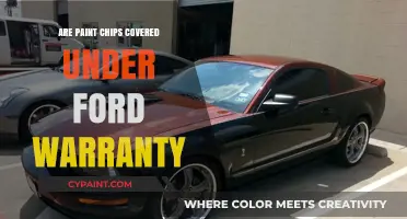 Are Paint Chips Covered Under Ford Warranty? What You Need to Know