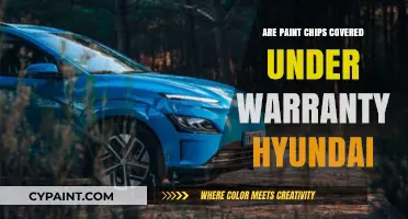 Hyundai Warranty Coverage: Do Paint Chips Qualify for Repairs?