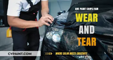 Are Paint Chips Considered Normal Wear and Tear in Rentals?