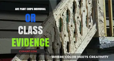 Paint Chips: Individual or Class Evidence in Forensic Analysis?