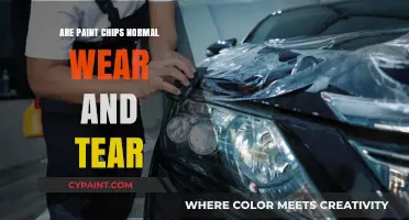 Are Paint Chips Considered Normal Wear and Tear in Rentals?