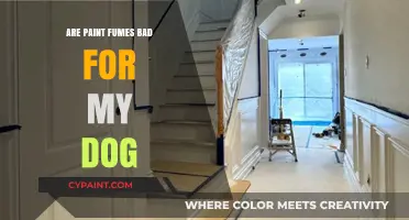 Paint Fumes and Pets: Are They Harmful to Your Dog?