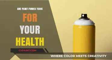 Are Paint Fumes Harmful? Understanding the Health Risks of Paint Fumes