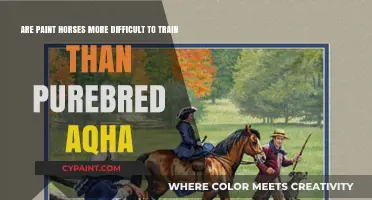 Paint Horses vs. AQHA: Training Challenges Compared and Debunked