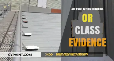 Paint Layers in Forensics: Individual or Class Evidence?