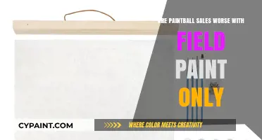 Field Paint Only Policies: Impact on Paintball Sales and Industry Trends