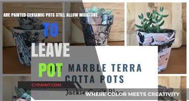 Do Painted Ceramic Pots Still Allow Moisture to Escape?