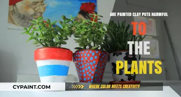 Painted Clay Pots: Are They Safe for Your Plants?