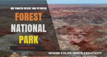Exploring Painted Desert and Petrified Forest National Park Wonders