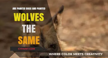 Painted Dogs vs. Painted Wolves: Unraveling the African Wild Canine Mystery