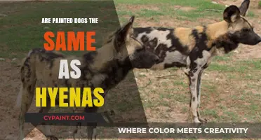 Painted Dogs vs. Hyenas: Unraveling the Differences and Similarities