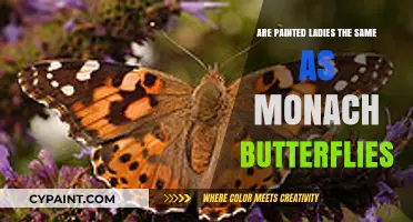 Painted Ladies vs. Monarchs: Unraveling the Butterfly Identity Mystery