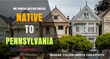Are Painted Lady Butterflies Native to Pennsylvania? Exploring Their Habitat