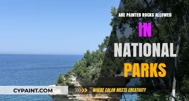 Painted Rocks in National Parks: Are They Allowed or Prohibited?