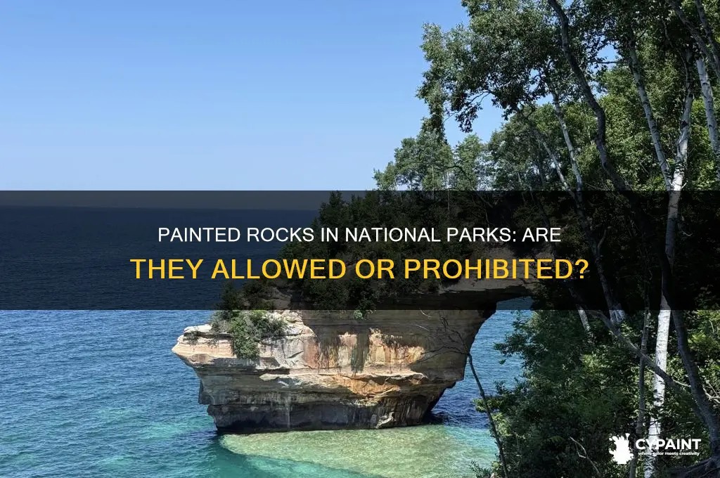 Painted Rocks In National Parks: Are They Allowed Or Prohibited? | CyPaint
