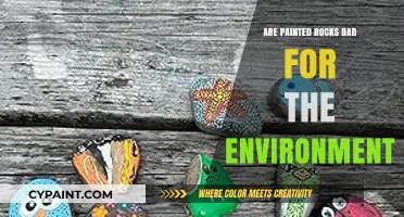 Painted Rocks: Eco-Friendly Art or Environmental Hazard?