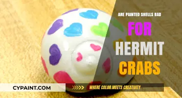 Painted Shells and Hermit Crabs: Harmful or Harmless Housing?