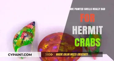 Painted Shells: Harmful or Harmless for Hermit Crabs?