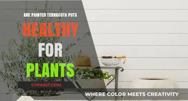 Painted Terracotta Pots: Are They Safe for Plant Health?