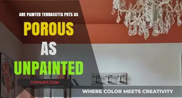 Painted vs. Unpainted Terracotta Pots: Porosity Comparison for Gardeners