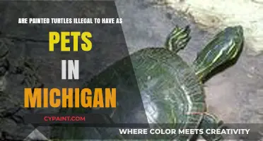 Painted Turtles as Pets in Michigan: Legal or Illegal?
