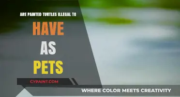 Are Painted Turtles Legal Pets? Understanding Ownership Laws and Ethics