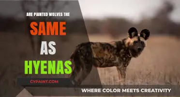 Painted Wolves vs. Hyenas: Unraveling the Differences and Similarities