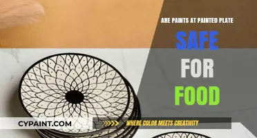 Are Painted Plate Paints Food-Safe? A Comprehensive Safety Guide