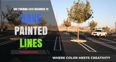 Do Parking Lots Legally Need Painted Lines? Requirements Explained