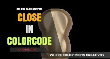 Comparing PAU Paint and PBM: Are Their Color Codes Similar?