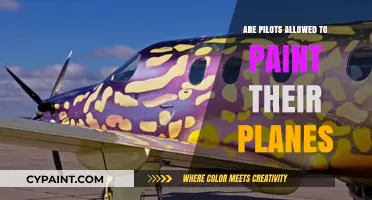 Can Pilots Customize Aircraft? Painting Planes and Aviation Rules Explained