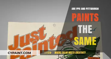 PPG vs. Pittsburgh Paints: Are They the Same Brand?