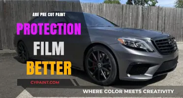 Pre-Cut Paint Protection Film: Superior Convenience or Compromised Quality?