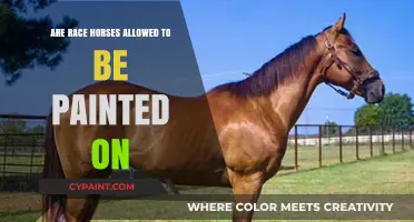 Can Race Horses Be Painted On? Exploring the Ethics and Rules