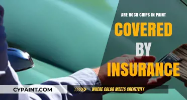 Does Auto Insurance Cover Rock Chip Paint Damage Repairs?