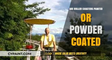 Roller Coaster Finishes: Painted vs. Powder Coated - Which is Best?