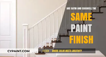 Satin vs. Eggshell Paint: Understanding the Differences in Finish