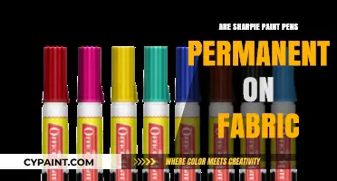 Sharpie Paint Pens on Fabric: Are They Truly Permanent?