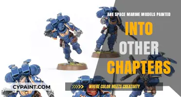 Painting Space Marine Models: Exploring Chapter Variations and Customizations
