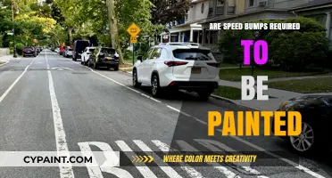 Are Speed Bumps Required to Be Painted? Legal Insights and Safety Tips