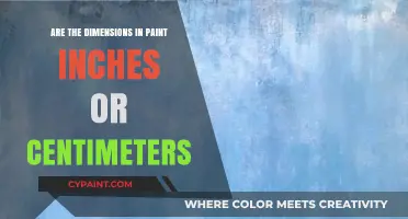 Understanding Paint Dimensions: Inches or Centimeters for Your Art?