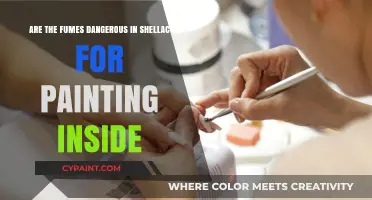 Shellac Paint Fumes: Are They Dangerous?