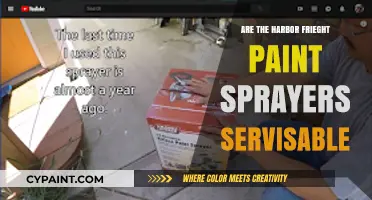 Can Harbor Freight Paint Sprayers Be Serviced? A Repair Guide