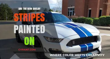 Are the New Shelby Stripes Painted On or Vinyl?