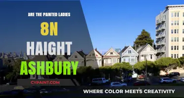 Exploring Haight-Ashbury's Painted Ladies: A San Francisco Icon Revealed