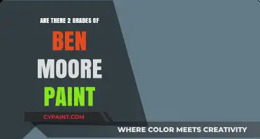 Understanding Ben Moore Paint: Are There Different Quality Grades?