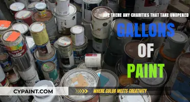 Donate Unused Paint: Charities Accepting Unopened Gallons Near You