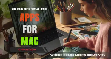 Best Microsoft Paint Alternatives for Mac Users: Top Creative Apps